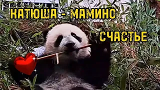 Бесстрашная Катюша. Часть 1.🐼 Panda. Russia.