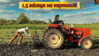 Так довго я ще картоплю🥔🥔в житті не копав! 1.5 місяця роботи з Т 25 та копачкою Шмутцер сезон 2022