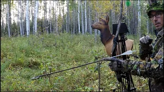 BOWHUNTING ELK in Saskatchewan - Testing the new 3Dcoy - Early season 2023