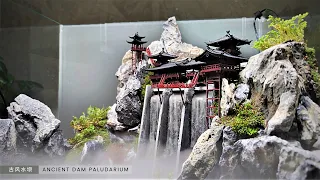 Building Ancient Dam paludarium in Aquarium