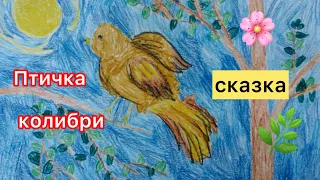 Сказка "Птичка колибри". Детские рисунки