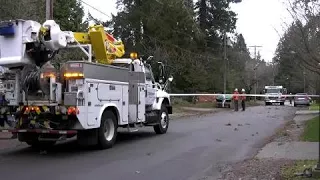 BC: Wind storm, mountains of snow cause havoc for residents