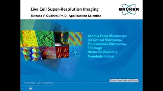 Live Cell Super Resolution Imaging | Bruker Vutara