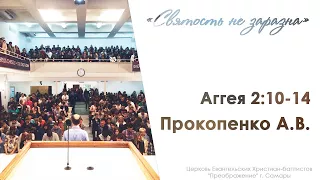 "Святость не заразна" Аггея 2:10-14 - Прокопенко А.В. 04.02.18