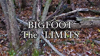 Bigfoot the Limits