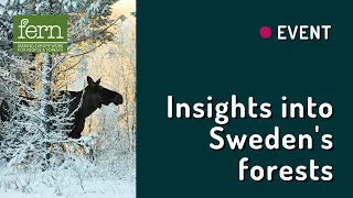 Insights into Sweden's forests