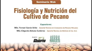 Fisiología y Nutrición del Cultivo de Pecano