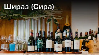 Энциклопедия вина: Шираз (Сира)