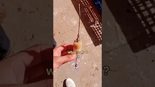 Hand Feeding Syringe for birds