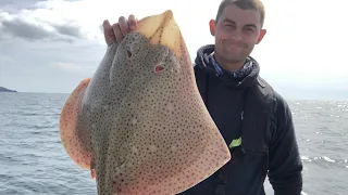 Sea Fishing UK - Bass, Blonde Ray and Pollack