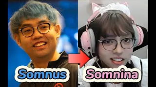 Somnus(✖) Somnina(✔) Transition from Legendary Dota2 Player to Japanese Maid