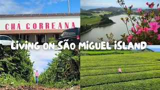 Vlog: Gorreana Tea Factory, Pico do Ferro Lookout, Furnas #azores #saomiguelisland #islandlife #vlog