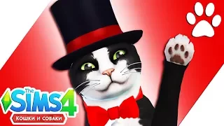 THE SIMS 4 КОШКИ И СОБАКИ | РЕЖИМ СОЗДАНИЯ ПИТОМЦА + CAS