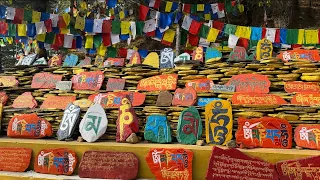 TSUKLAKHANG 🙏🏻 || #tibetanvlogger