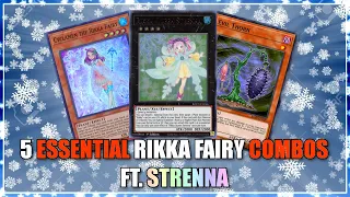 Yugioh 5 ESSENTIAL Rikka Combos Ft. Strenna the Rikka Queen