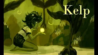 Kelp [Timelapse]