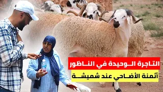 مع إقتراب العيـد أثمنة الأضـاحي عند شميشـة التاجرة الوحيدة في النـاظور - لقاء خـاص - Nador