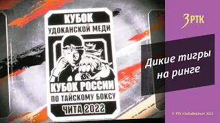 Кубок «Удоканской меди» по тайскому боксу получит статус всероссийских соревнований