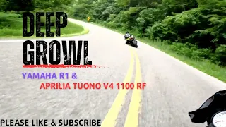 The deep growl of R1 & BMW S1000R [4k] #BMW #yamaha