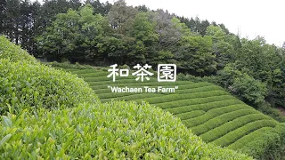 「Wachaen Japanese Tea Farm」　Documentary Film of Osamu Ueda