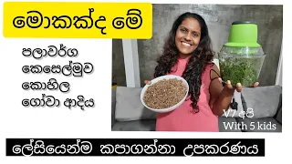 හැමෝම අහන ලේසියෙන්ම පලාවර්ග කපාගන්න මන් භාවිතා කරන උපකරණය.