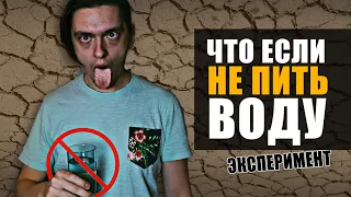 ЧТО БУДЕТ ЕСЛИ ВООБЩЕ НЕ ПИТЬ ВОДУ? | Эксперимент, проверил на себе