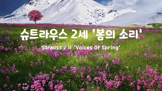 [일간클래식]  슈트라우스 2세 '봄의소리' , 1시간 듣기 ♬ Strauss J Ⅱ 'Voices of Spring',  Listening to it for an hour