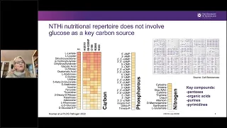 Metabolic virulence determinants in haemophilus influenzae