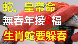 2024年生肖屬蛇人是皇帝命，生肖蛇在2024無春年，要躲春避免災難，屬蛇人天道明年变金蛇，2024年生肖屬蛇要注意什麼，有富貴命的生肖蛇，生肖蛇橫財來了大賺一笔大财，十二生肖有皇帝命