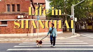 4 Fun and Unique Experiences in Shanghai (city walk, shopping, art, food)