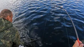 НАРВАЛИСЬ НА КОСЯК ГОРБУШИ / THE BEST PINK FISHING