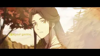 Heaven Official's Blessing [天官赐福]  Opening theme / 无 别 No Separation (Jeff Chang 张信哲) cover by UFO