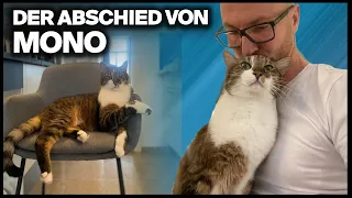 Haustiere verabschieden - Der Abschied meines geliebten Katers Mono | Mein Erfahrungsbericht