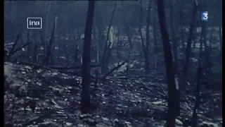 1972 - Catastrophe d'Ermenonville