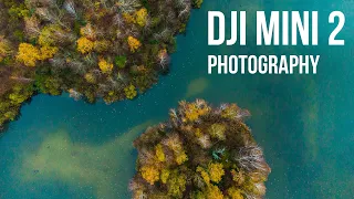 DJI MINI 2 Photography