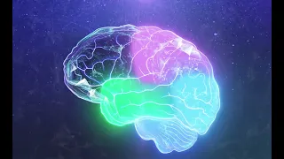 Анимация мозга