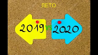 ЛЕТО 2019 VS ЛЕТО 2020 ( каждые летние каникулы такие  )