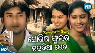 Sorisa Phulara Haladia Kheta - Romantic Album Song | Nibedita | ସୋରିଷ ଫୁଲର ହଳଦିଆ ଖେତ |Sidharth Music