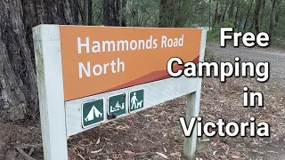 Free Camping Victoria | Hammonds Road North Campground