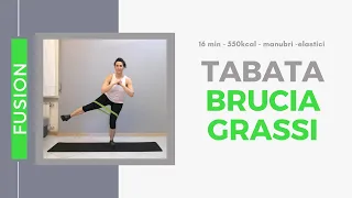 16min - Tabata home workout - 550kcal