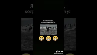 я иду на работу каждое утро 😅🤣