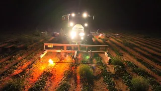 Weed Zapper for organic farming