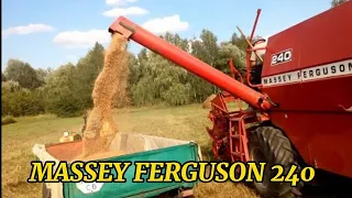 Молотим у тестя пшеницю. Комбайн Massey Ferguson  240