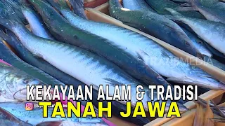 [FULL] KEKAYAAN ALAM & TRADISI TANAH JAWA | JEJAK PETUALANG (24/01/24)