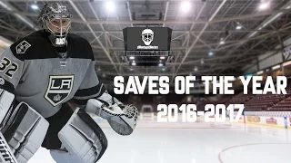 Saves of the Year 2016-2017 [HD]