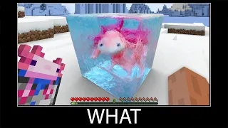 Minecraft wait what meme part 169 realistic minecraft axolotl