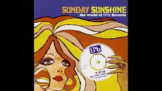 Various – Sunday Sunshine (The World Of SNB Records) 60's UK Beat Pop Psychedelic Rock Music ALBUM