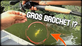 CETTE TECHNIQUE EST INCROYABLE POUR PECHER DU BROCHET !!