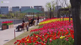 2024년 서울식물원의 봄