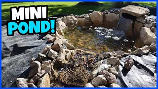 Building a New Mini-Pond & Waterfall!